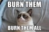 grumpy-cat-5-burn-them-burn-them-all.jpg