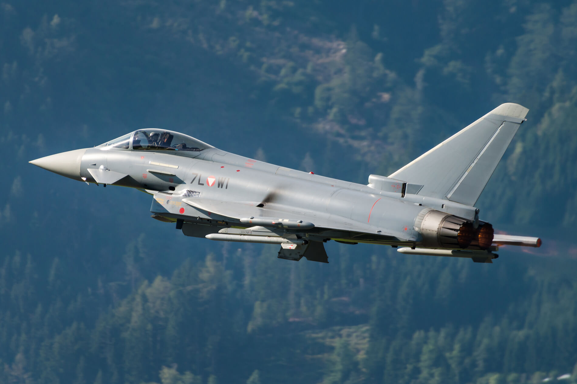 austrian_eurofighter_typhoon-1.jpg