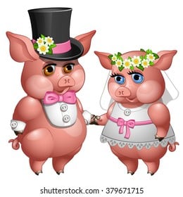 bride-groom-pigs-vector-image-260nw-379671715.jpg
