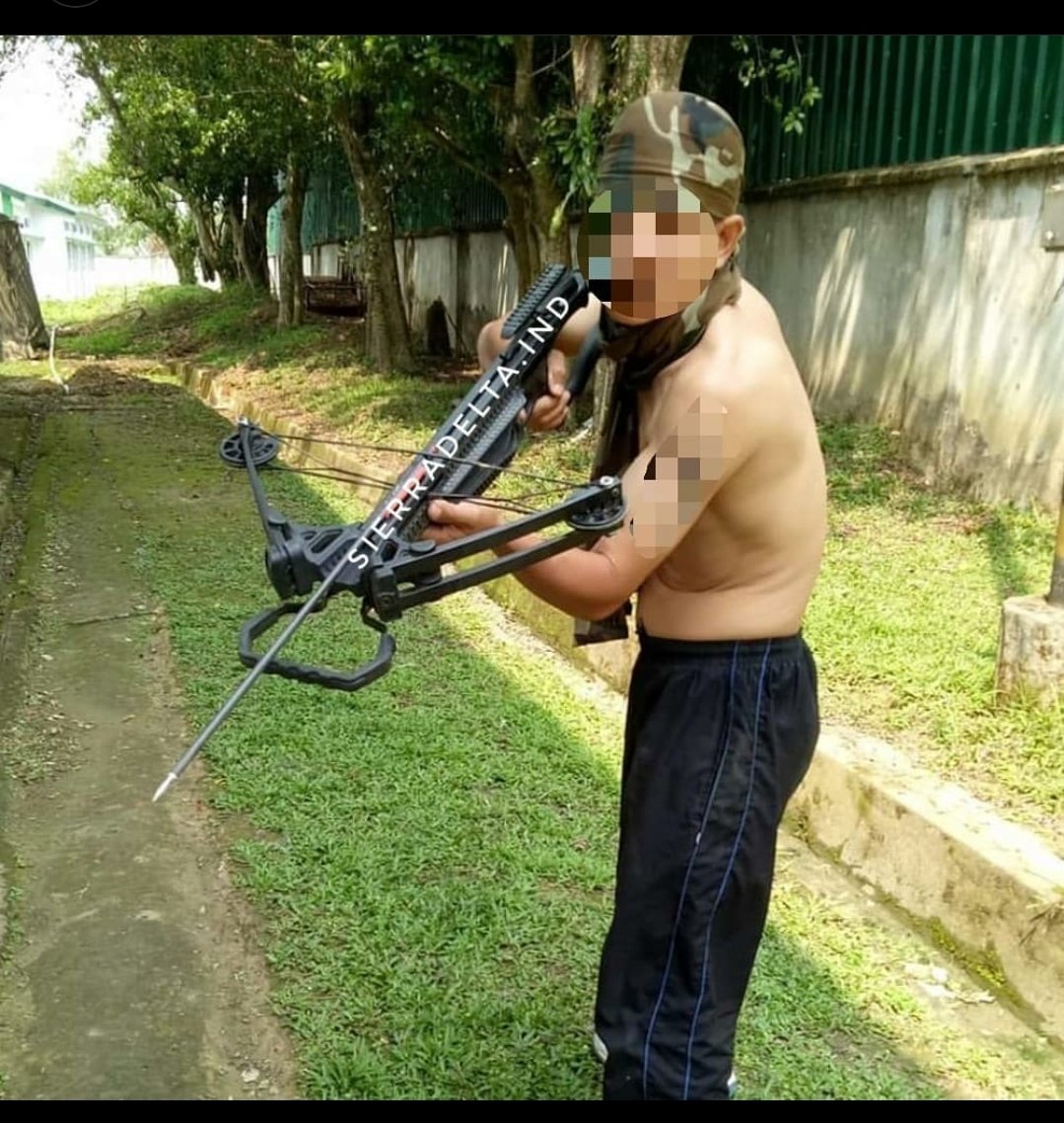 Crossbow in service of PARA SF .jpg