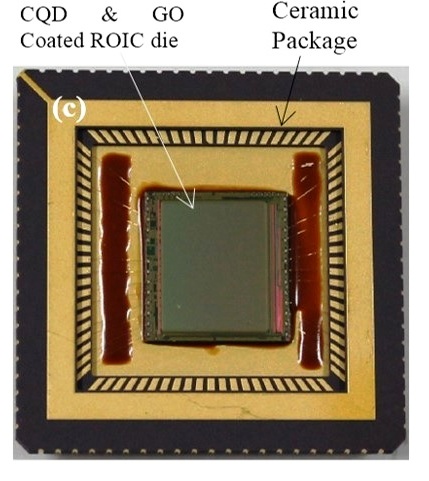 FPA realized by wire bonded die on the 84-pin LCC ceramic package.jpg