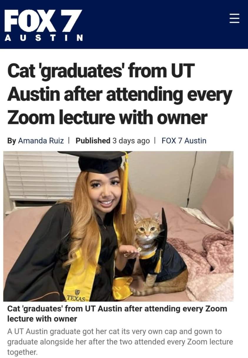 graduate kitty.jpg