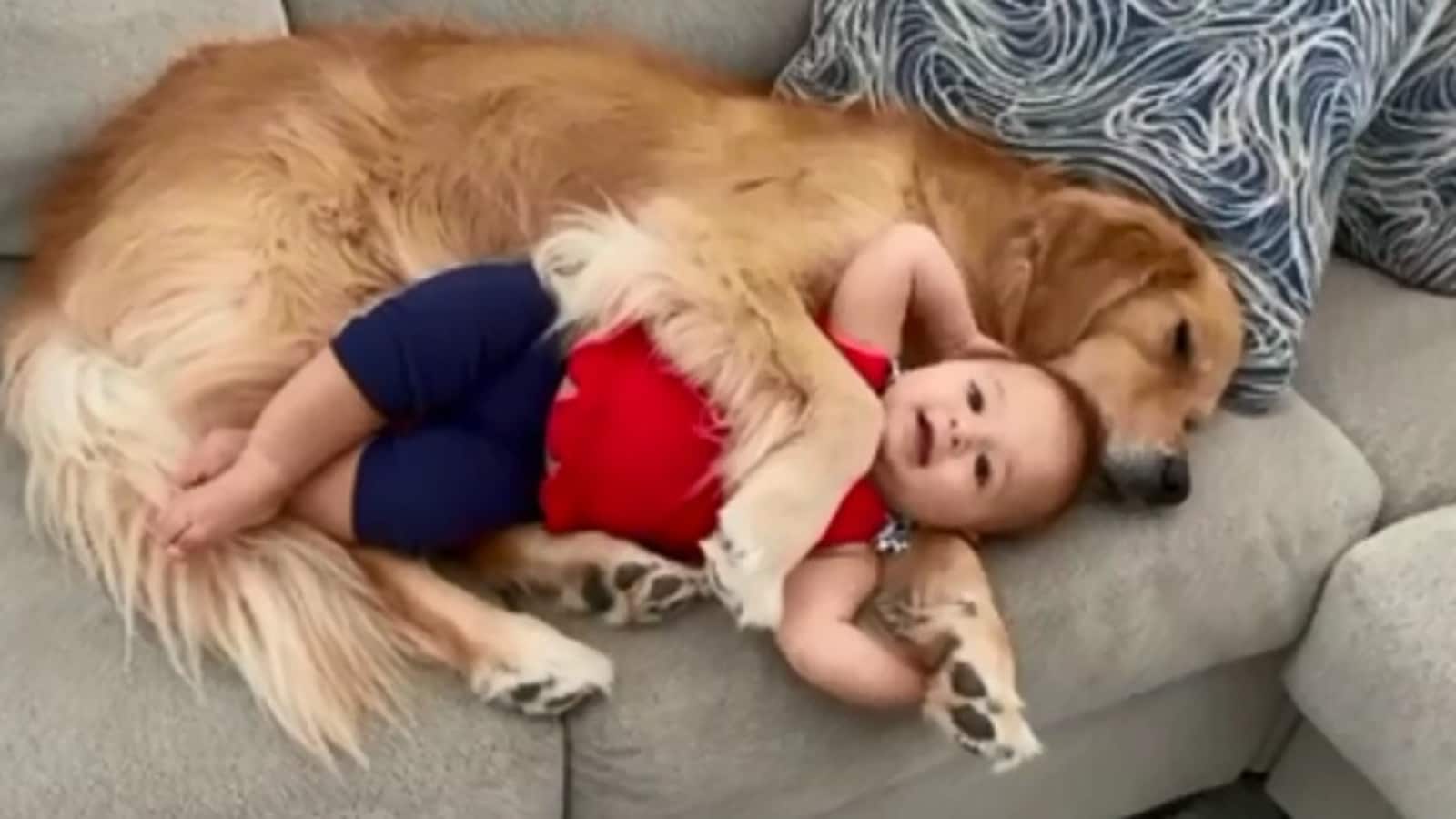 Kid_and_dog_cuddling_with_each_other_1633011576747_1633011579806.jpeg
