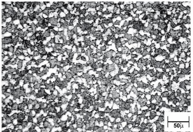 Microstructure of Kaveri ring in Ti-64 alloy.jpg