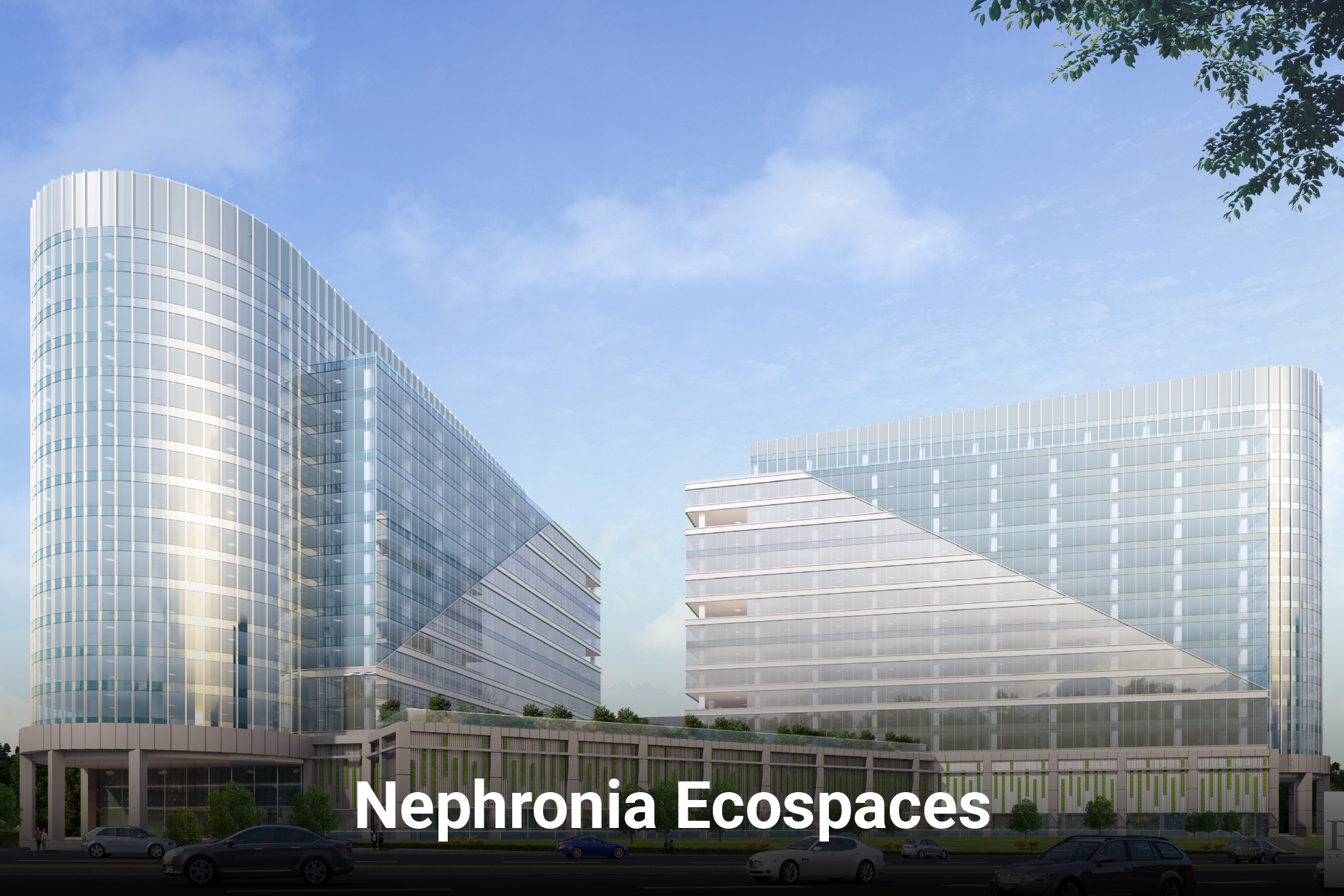Nephronia-Ecospaces-1.png
