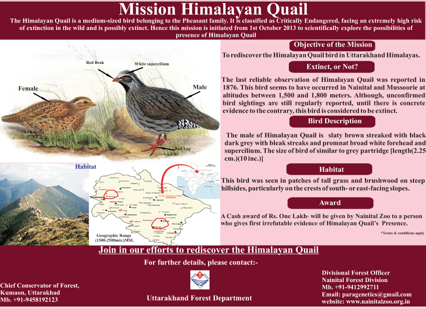 POSTER-mission_himalayan_quail.jpg