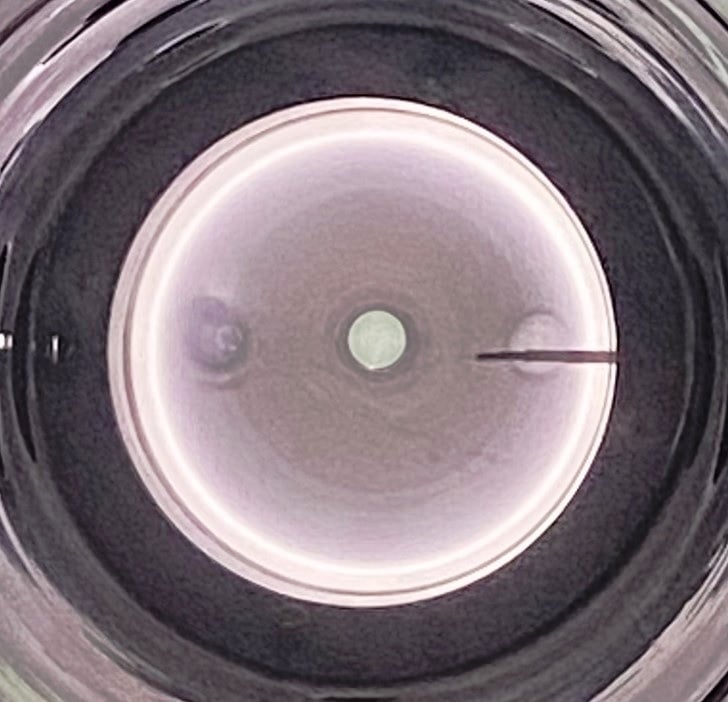 Ring-shape hot plasma produced by cylindrical RF discharge with axial magnetic field.  .jpg