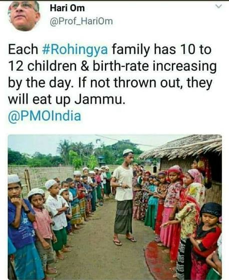 Rohingya birth rate.jpg