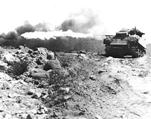 Ronson_flame_tank_Iwo_Jima.jpg