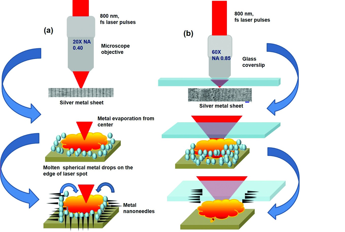 Schematic of fabrication of nanoneedles using LDW method with.jpg