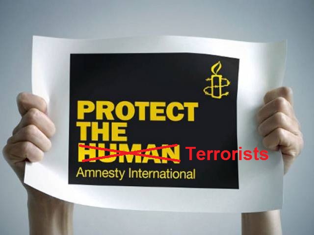 Terrorist Amnesty.jpg