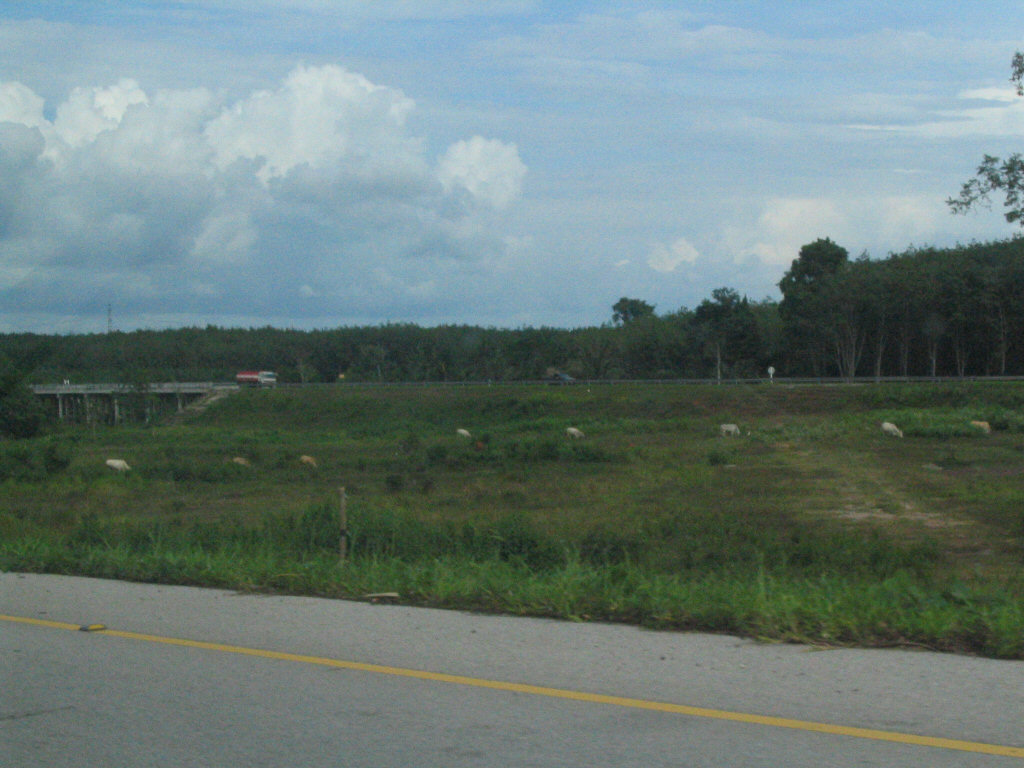 Th_route44_median.jpg