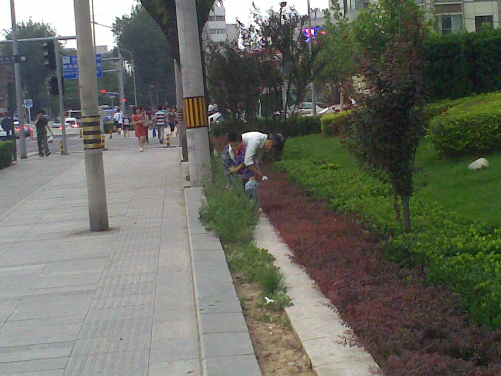 Public pooping. Китай pee на улице. Baby pees in Китай on Street. Vakakids Китай.