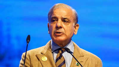 'No other option' but to implement IMF deal: Pak PM Shehbaz Sharif'No other option' but to implement IMF deal: Pak PM Shehbaz Sharif
