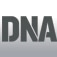 www.dnaindia.com